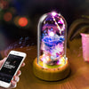 Rose Streamer Bottle Wireless Bluetooth Speaker